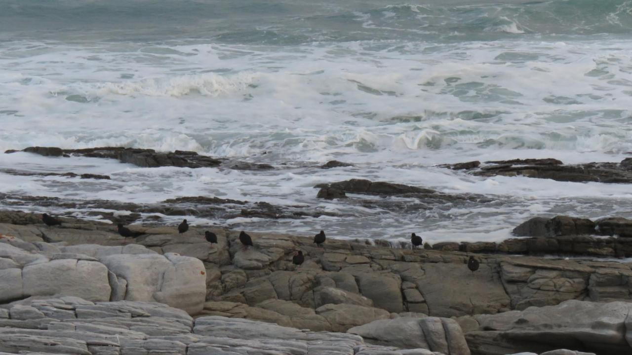 Appartamento L Agulhas,Main @ 51 Esterno foto